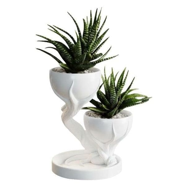 Duvera – İkili Dekoratif Mini Saksı – 2. görsel