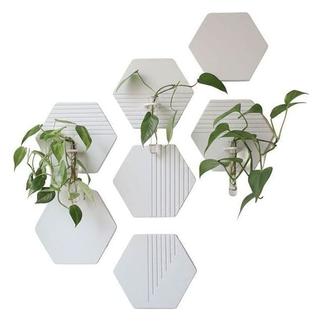 Hexagrow 7'li Duvar Bitki Seti – 2. görsel