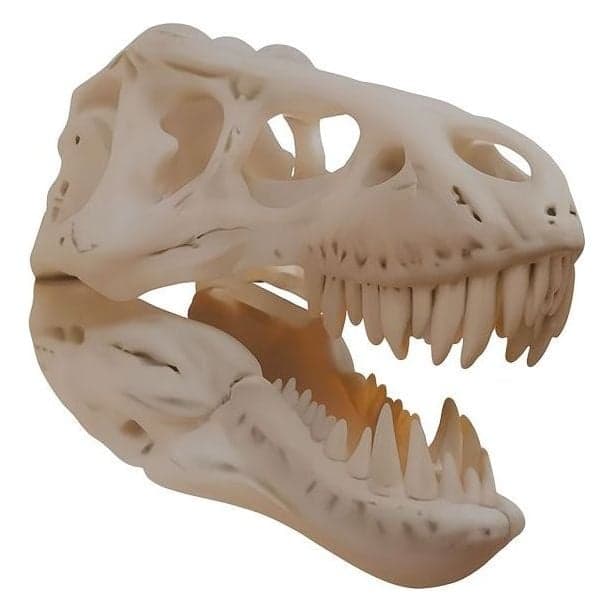 T-Rex Kafası Duvar Dekoru – 3. görsel