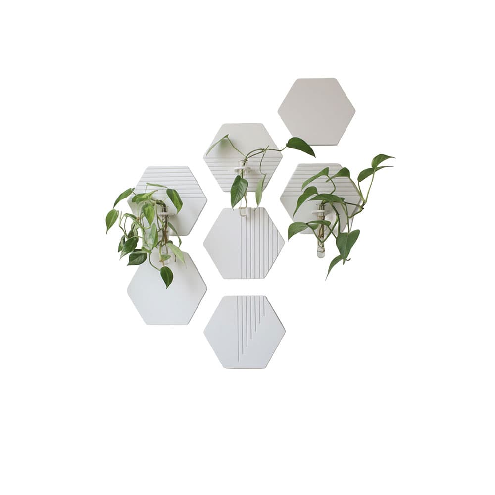 Hexagrow 7'li Duvar Bitki Seti – ikinci görsel