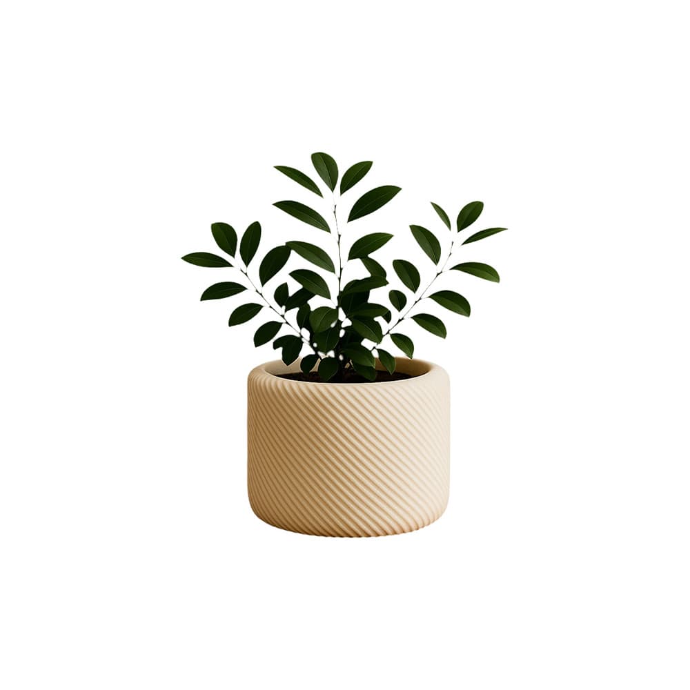 Minimal Çizgili Dekoratif Saksı – ikinci görsel